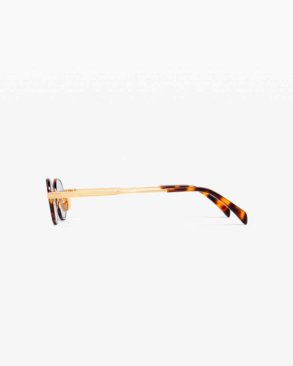 The Sigi JF Colors