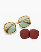 The Homy JF Colors